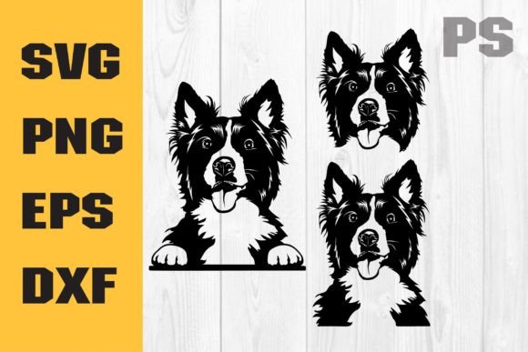 Border Collie SVG: A Real-World Embroidery Review